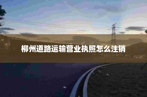 柳州道路运输营业执照怎么注销