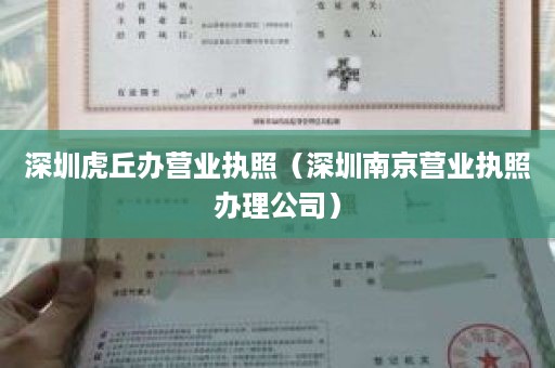 深圳虎丘办营业执照（深圳南京营业执照办理公司）