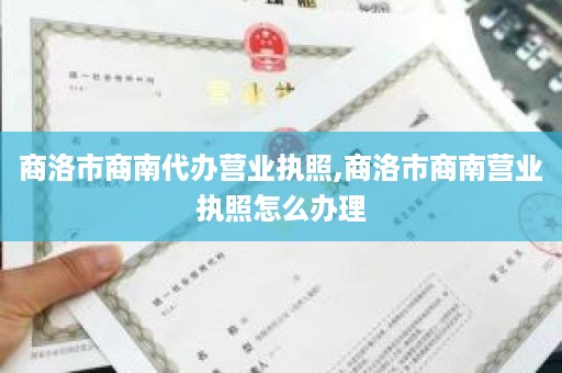 商洛市商南代办营业执照,商洛市商南营业执照怎么办理