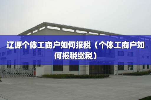 辽源个体工商户如何报税（个体工商户如何报税缴税）