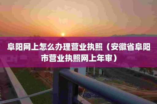 阜阳网上怎么办理营业执照（安徽省阜阳市营业执照网上年审）