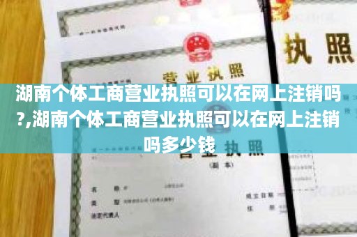 湖南个体工商营业执照可以在网上注销吗?,湖南个体工商营业执照可以在网上注销吗多少钱