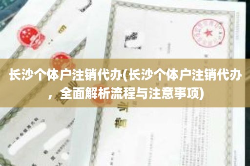 长沙个体户注销代办(长沙个体户注销代办，全面解析流程与注意事项)