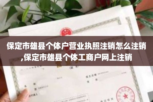 保定市雄县个体户营业执照注销怎么注销,保定市雄县个体工商户网上注销