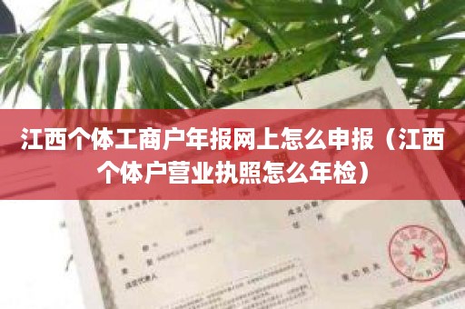 江西个体工商户年报网上怎么申报（江西个体户营业执照怎么年检）