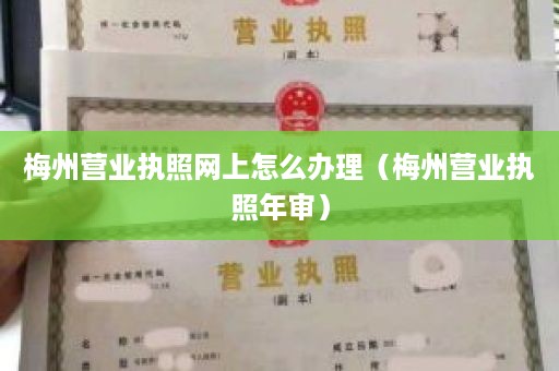 梅州营业执照网上怎么办理（梅州营业执照年审）