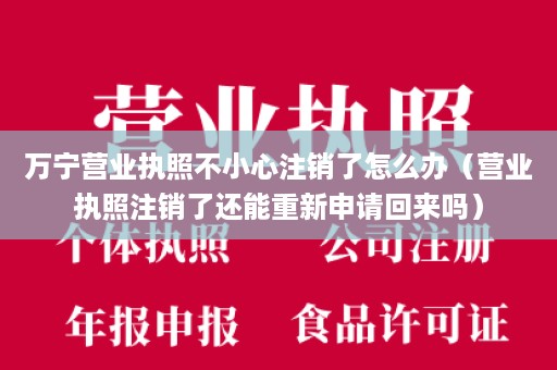 万宁营业执照不小心注销了怎么办（营业执照注销了还能重新申请回来吗）