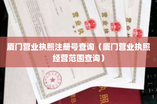 厦门营业执照注册号查询（厦门营业执照经营范围查询）