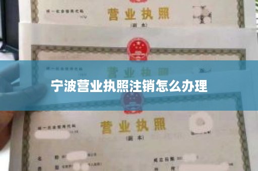 宁波营业执照注销怎么办理