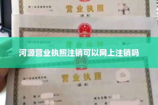 河源营业执照注销可以网上注销吗