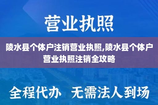 陵水县个体户注销营业执照,陵水县个体户营业执照注销全攻略