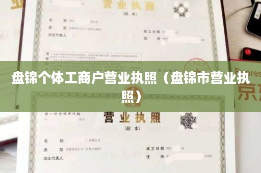 盘锦个体工商户营业执照（盘锦市营业执照）