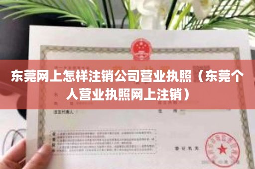 东莞网上怎样注销公司营业执照（东莞个人营业执照网上注销）