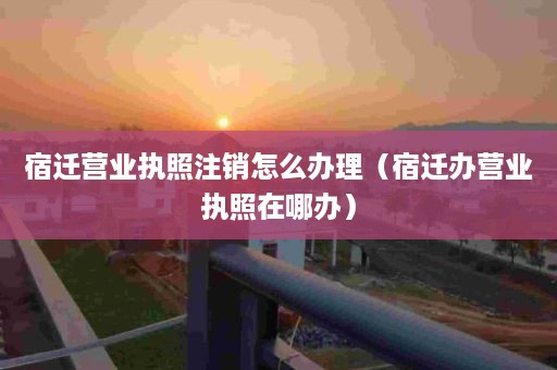 宿迁营业执照注销怎么办理（宿迁办营业执照在哪办）