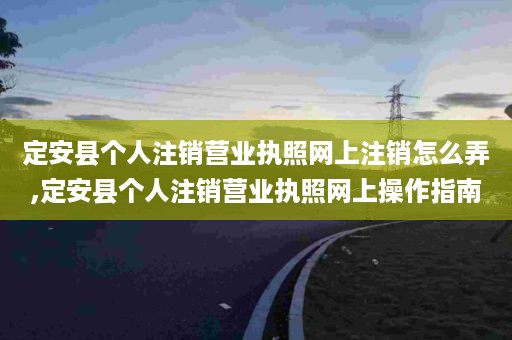 定安县个人注销营业执照网上注销怎么弄,定安县个人注销营业执照网上操作指南