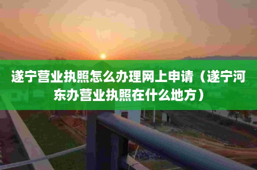 遂宁营业执照怎么办理网上申请（遂宁河东办营业执照在什么地方）