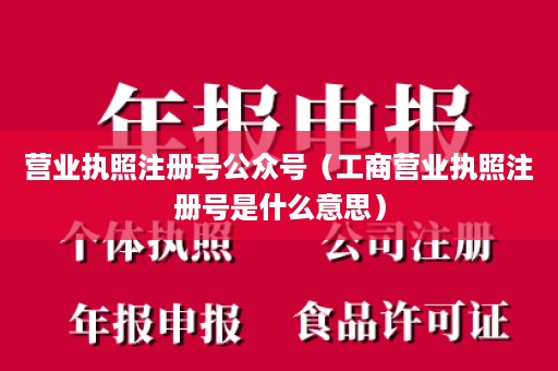 营业执照注册号公众号（工商营业执照注册号是什么意思）