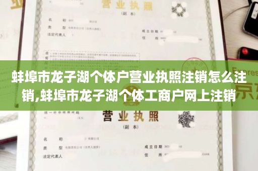 蚌埠市龙子湖个体户营业执照注销怎么注销,蚌埠市龙子湖个体工商户网上注销