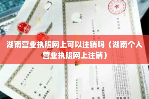 湖南营业执照网上可以注销吗（湖南个人营业执照网上注销）