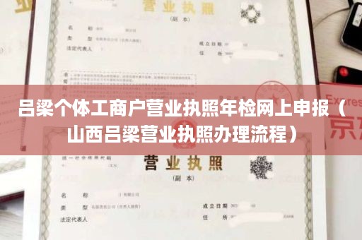 吕梁个体工商户营业执照年检网上申报（山西吕梁营业执照办理流程）