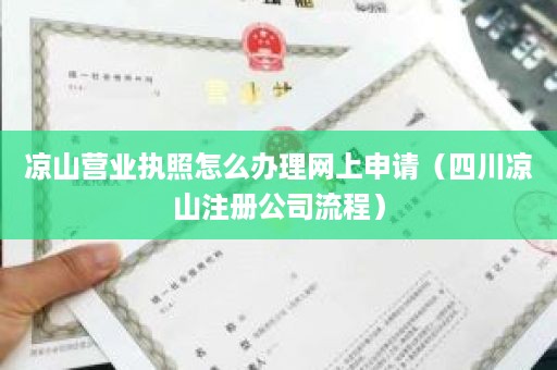 凉山营业执照怎么办理网上申请（四川凉山注册公司流程）