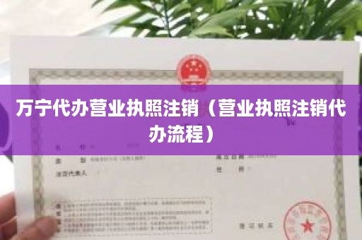 万宁代办营业执照注销（营业执照注销代办流程）