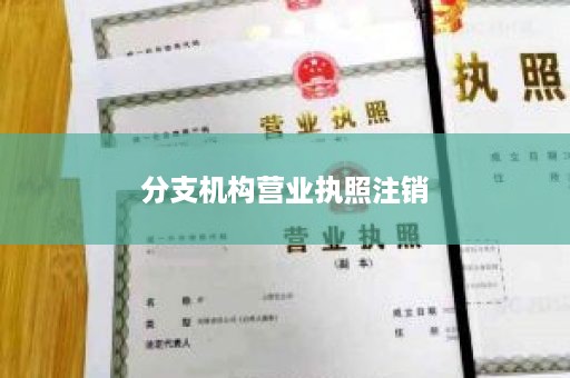 分支机构营业执照注销