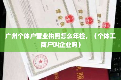 广州个体户营业执照怎么年检，（个体工商户叫企业吗）