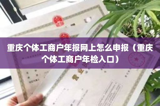 重庆个体工商户年报网上怎么申报（重庆个体工商户年检入口）