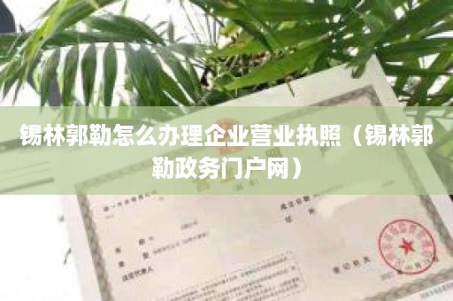 锡林郭勒怎么办理企业营业执照（锡林郭勒政务门户网）