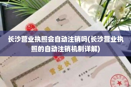 长沙营业执照会自动注销吗(长沙营业执照的自动注销机制详解)