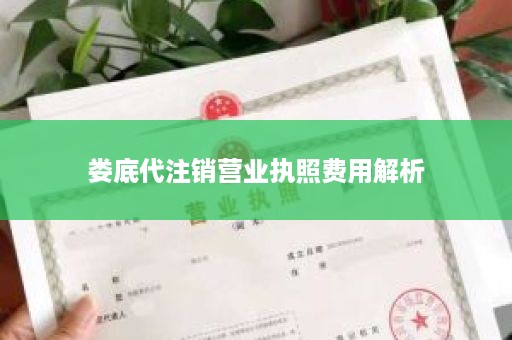 娄底代注销营业执照费用解析