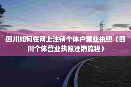 四川如何在网上注销个体户营业执照（四川个体营业执照注销流程）