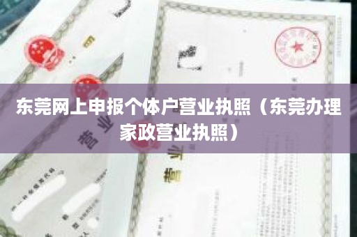 东莞网上申报个体户营业执照（东莞办理家政营业执照）