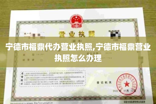 宁德市福鼎代办营业执照,宁德市福鼎营业执照怎么办理