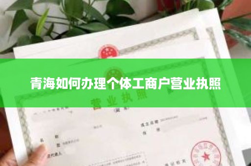 青海如何办理个体工商户营业执照