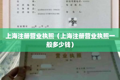 上海注册营业执照（上海注册营业执照一般多少钱）