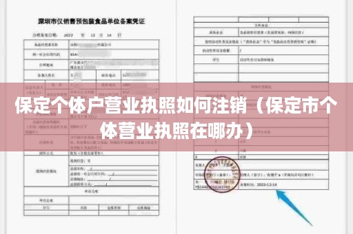 保定个体户营业执照如何注销（保定市个体营业执照在哪办）