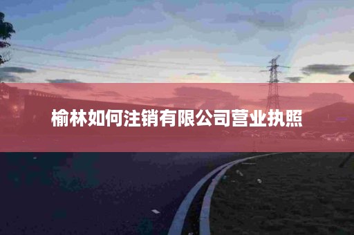 榆林如何注销有限公司营业执照