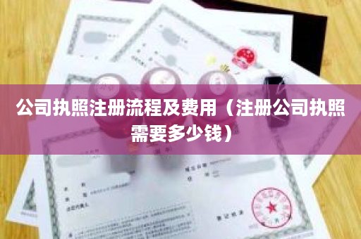 公司执照注册流程及费用（注册公司执照需要多少钱）