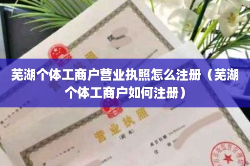 芜湖个体工商户营业执照怎么注册（芜湖个体工商户如何注册）