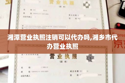 湘潭营业执照注销可以代办吗,湘乡市代办营业执照