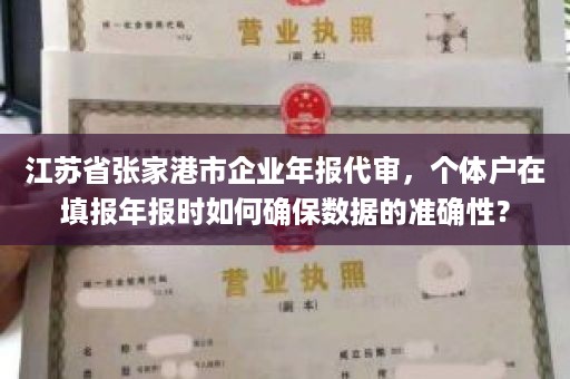 江苏省张家港市企业年报代审，个体户在填报年报时如何确保数据的准确性？