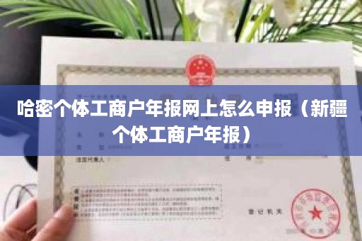 哈密个体工商户年报网上怎么申报（新疆个体工商户年报）