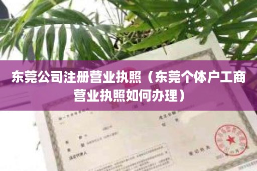 东莞公司注册营业执照（东莞个体户工商营业执照如何办理）