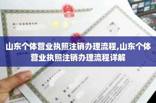 山东个体营业执照注销办理流程,山东个体营业执照注销办理流程详解