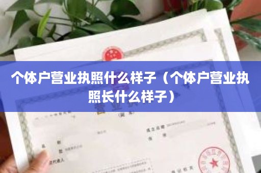 个体户营业执照什么样子（个体户营业执照长什么样子）