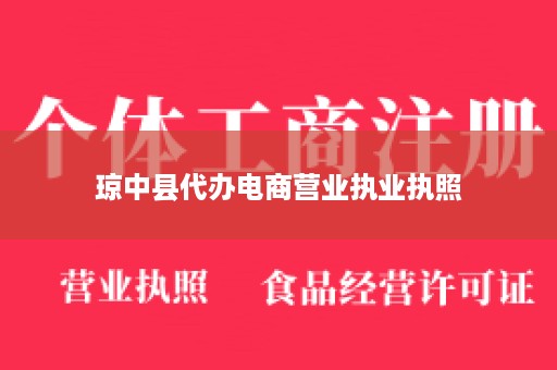 琼中县代办电商营业执业执照