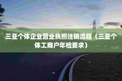 三亚个体企业营业执照注销流程（三亚个体工商户年检要求）