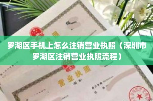 罗湖区手机上怎么注销营业执照（深圳市罗湖区注销营业执照流程）